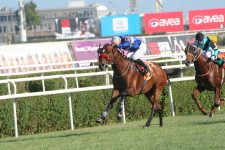 2008 Gazi Koşusu